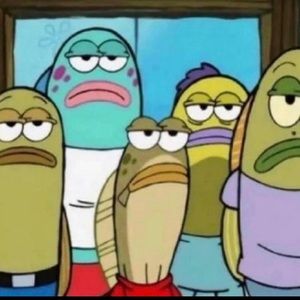 Meet your Posher, Asha